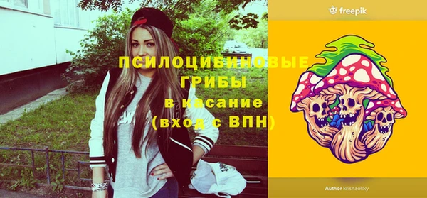 винт Няндома