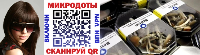 Галлюциногенные грибы Psilocybe  Котельнич 